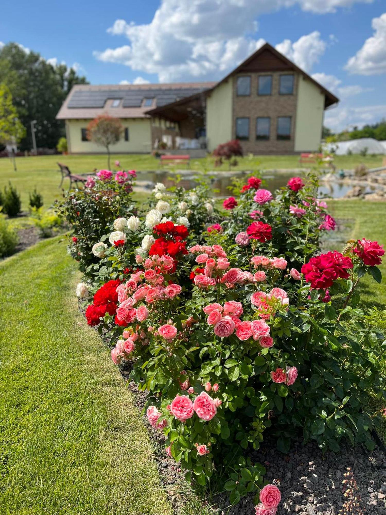 Auróra Rendezvényterem&Szállás Jaszapati Exterior foto